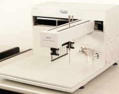 ASP2000����̎������վ