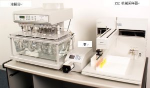 ASP2000����̎������վ