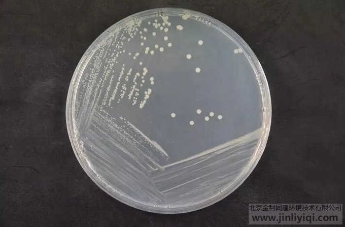 Ҭ���نΰ������B(y��ng)����